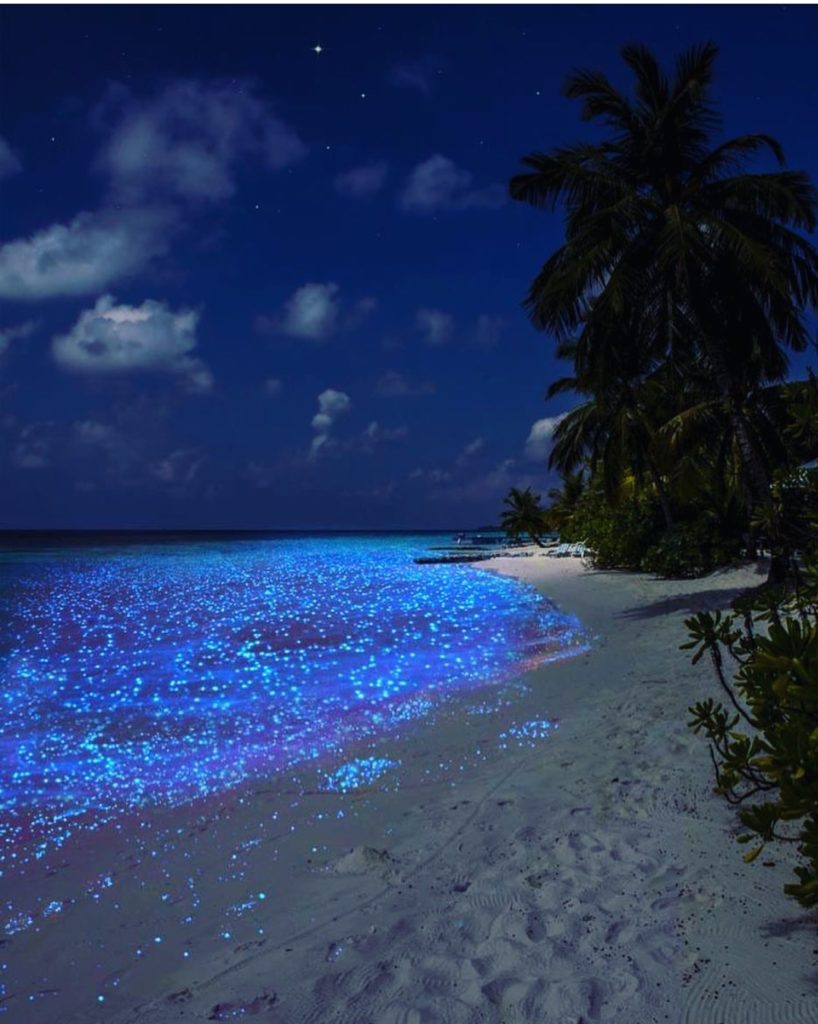نمونه هایی از شگفتی های جهان در چابهار سواحل درخشان وادو در مالدیو 