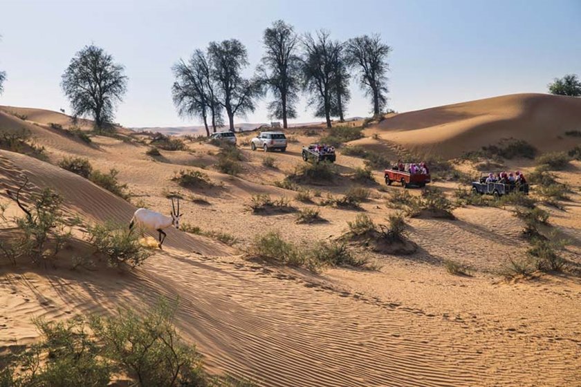 حفاظت از صحرای دبی