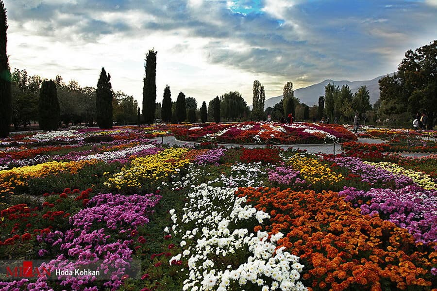 باغ گیاه شناسی ایران 