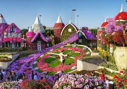 دبی امارات متحده عربی باغ گل میراکل
