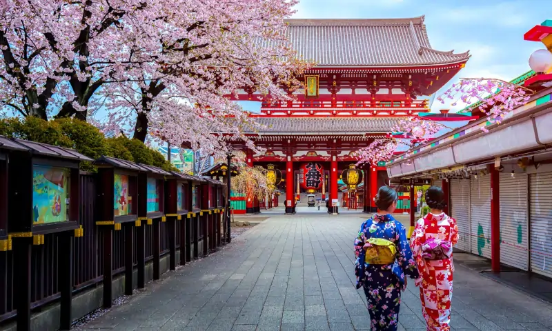 قلعه شوری زاپن در بهار شکوفه های زیبای ژاپن