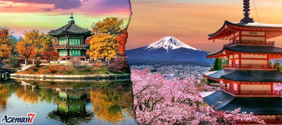 ژاپن مهد رویایی شکوفه های گیلاس