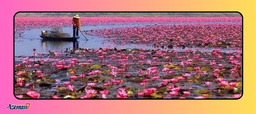 دیدنی‌های بندرانزلی