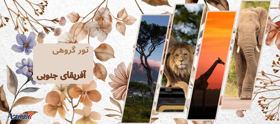 عکس تور