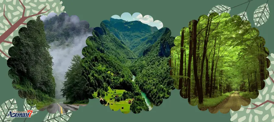 تور گروهی هوایی گیلان گردی