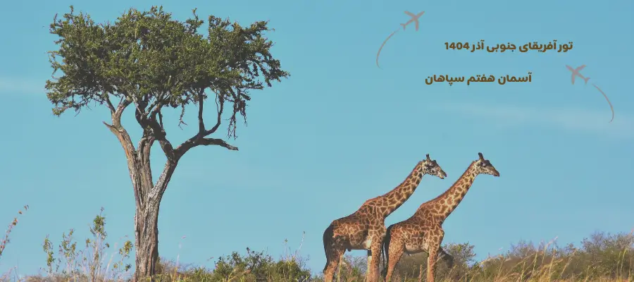تور آفریقای جنوبی ویژه آذر ماه